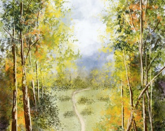 Country Road Among Tall Trees