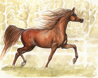 Chestnut arabian horse portrait original pen and watercolour painting