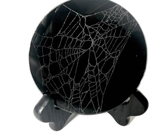 Real Spider Web Preserved in Glass