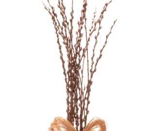 Fresh pussy willow branches, 20 inch stems; 10, 20, 30 or 40 stems; Natural pussy willow stems; Fast shippping