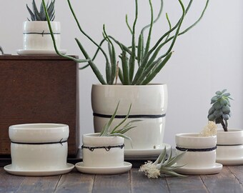 Large Porcelain Planters with Black Linen