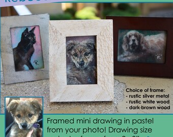 Custom Mini Pet Portrait (Framed)