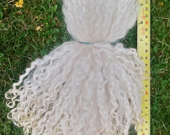 Teeswater Locks Undyed 8 - 10 inch, washed in natural springwater & separated - 100g (3.5oz)