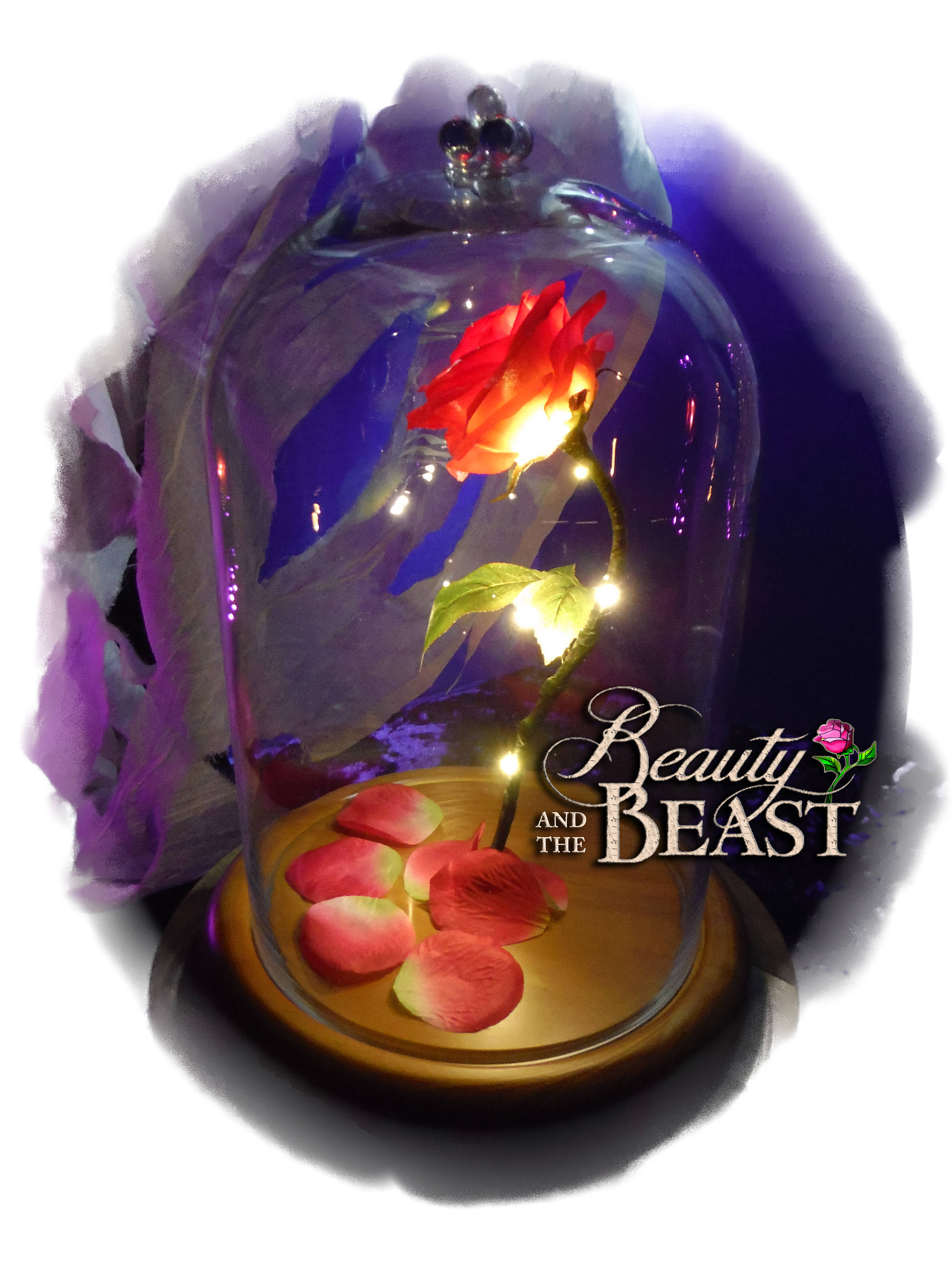 Beauty And The Beast Enchanted Rose Valentines day Forever