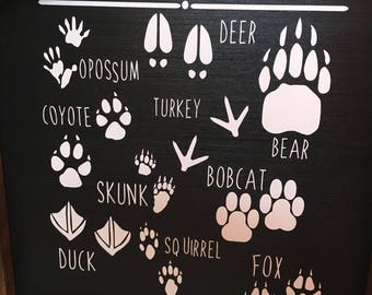Animals of Woodlands|Animal Footprints|Critter Room
