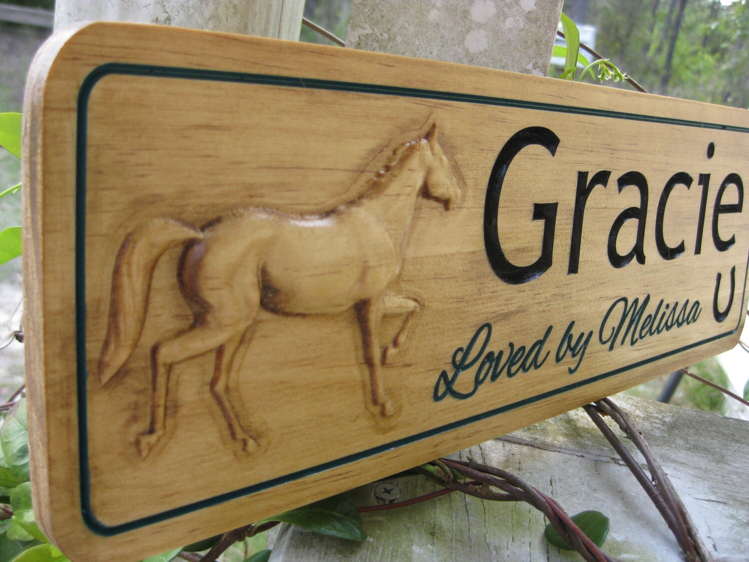 Horse Stall Signs Horse Name Plates Unique Personalized Horse