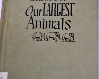 Vintage Children's Book Our Largest Animals by Morton S. Malter Second Printing