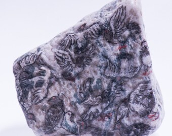 Stone Painting - Peace Birds