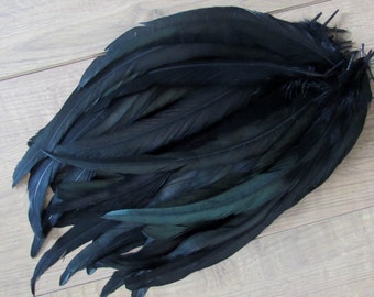 Black Feathers - Rooster Tail Feathers