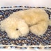 Blue Mini Travel Blanket, Blue Baby Travel Blanket, Blue Small Dog Blanket, Blue Doggy Travel Blanket, Blue Dog Couch Blanket, Pet Blanket