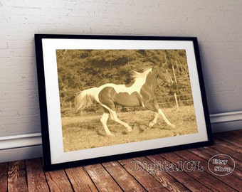 Horse print sepia horse photography equestrian art horse wall print printable horse photo print horse Poster print contemporary art