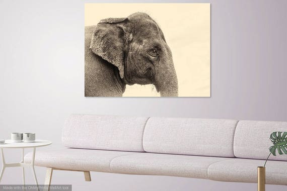 ELEPHANT WISDOM. Elephant Print, Giclee Print, Animal Portrait, Limited Edition, Photographic Print