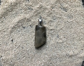 Petoskey Stone Pendant