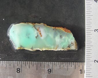 Chrysoprase Lapidary Slab T305