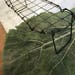 Early wire bread rack