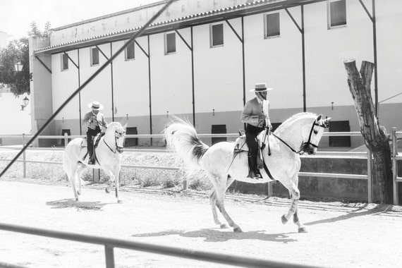 Horse Prints, "SPANISH HORSEMEN". White Horses, Equine Print, Spanish Horses, Photographic Print, C Type Print, Animal Prints