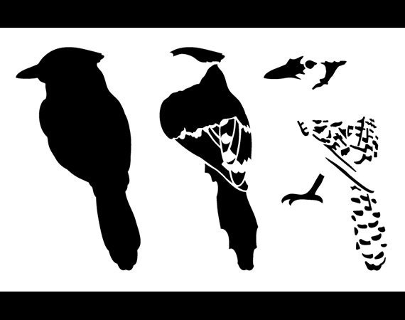 Download Blue Jay Layered Bird Stencil Back 10 x 6 1/2