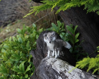 Needle felted grey wolf, wolf sculpture, felt wolf, felted animal