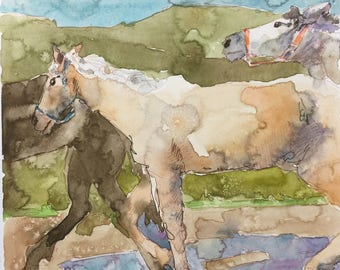 Palomino 8" x 8" Original Watercolor Painting