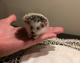 Needle felted hedgehog, soft sculpture, wool, felting animal, home decor, wool hedgehog, gift, plush toy