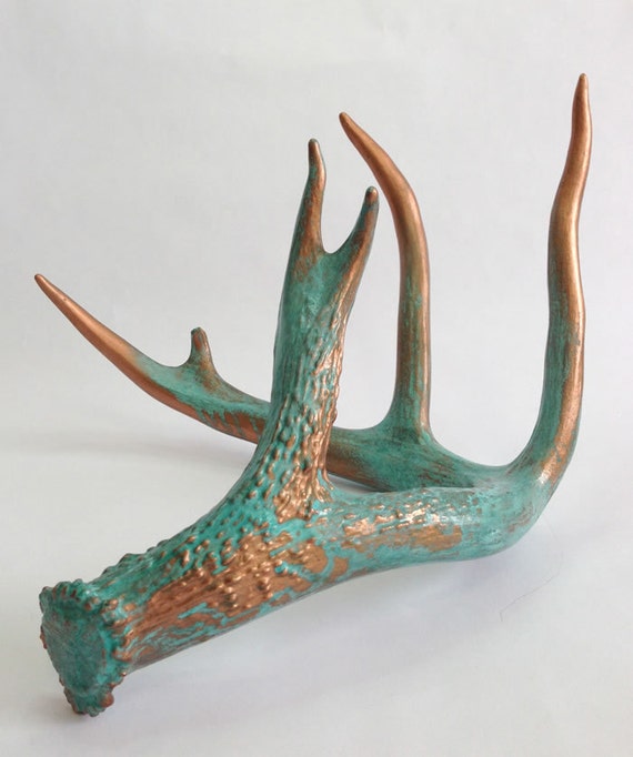 display and use shed antlers these 7 ways