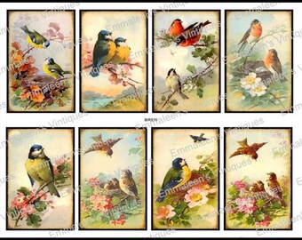 8 Vintage Grunge Victorian Birds Collage Sheet ATC ACEO / Vintage Birds Digital Collage Sheet Tags Images—Printable Ephemera