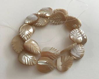 20mm Carved Mother of Pearl Leaves, 14.5 Inch Strand