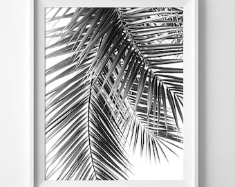Hojas de Palma, impresión de Palma, Botánico, decoración Tropical, Tropical pared arte, arte de la pared las, hoja de Palma, Palma negra grabados, blanco y negro