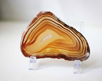 Natural Brazilian Agate Slice 3-4 inch | #1