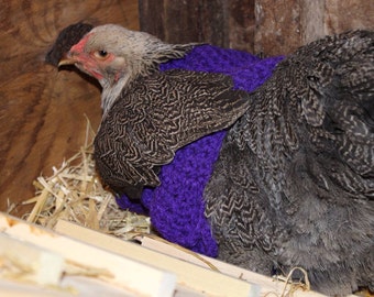 Chicken sweaters, chicken sweater, chickens, hens, sweaters, crochet, purple