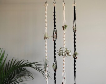 MEARA - Air Plant Holder - Air Plant Hanger - Airplant Holder - Macrame Plant Hanger - Hanging Airplant Accessory - Modern Macrame