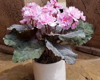 Pink African Violets,Table Arrangement, Spring Floral Arrangements, Mothers Day Gift, Kitchen Decor, Floral Arrangement for table,