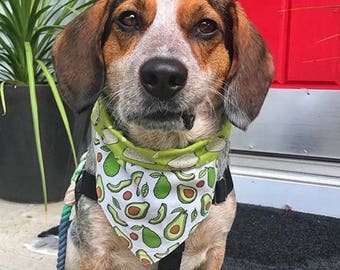 Taco & Avocado Reversible Bandana