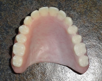 Full Upper Denture .. Real False Teeth ..Denture Study