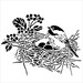 Mini Bird Nest 6x6 Crafters Workshop Stencil (608) - for cookies, cakes, cardmaking, mixed media, paper-arts, chalking, scrapbook