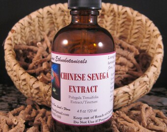 CHINESE SENEGA ROOT Extract 4 ounce dropper bottle