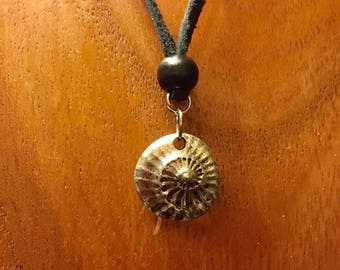 Silver Nautilus Necklace