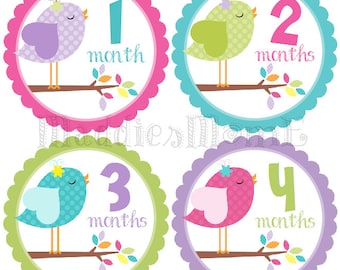 baby girl month stickers monthly baby stickers milestone