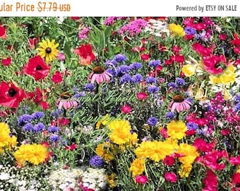 Serendipity's Native North American Garden Wildflower Mix App 2500 seeds - Mix Lots of Color! Butterflies Love Cut Flowers Easy to Grow