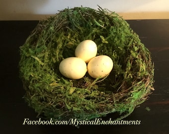 Mossy Spring Birds nest with bird eggs- 5 1/2”