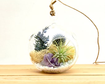 Air Plant Terrarium Kit with Purple Amethyst Crystal / Shabby Chic