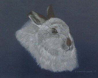 White Rabbit Greetings Card