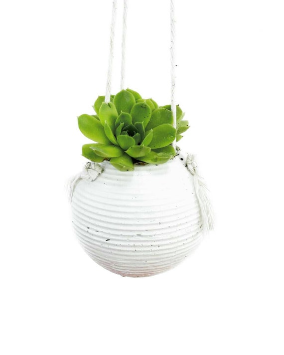 Modern Planter/Concrete Planter/Hanging Planter/Modern Decor/Succulent Planter/Indoor Planter/Office Planter/Sphere planter/orb planter