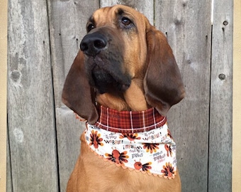 Gobble Gobble Turkeys Thanksgiving Dog Bandana ~ Stylish Neckwear for Dogs & Cats