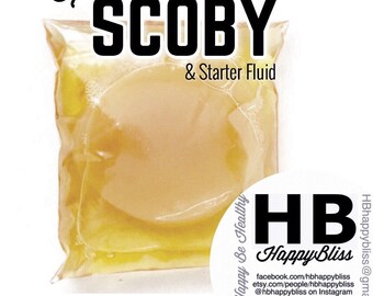 Kombucha SCOBY & Starter Liquid