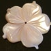 Hold for Tresa-Mother of Pearl Flower Focal Bead