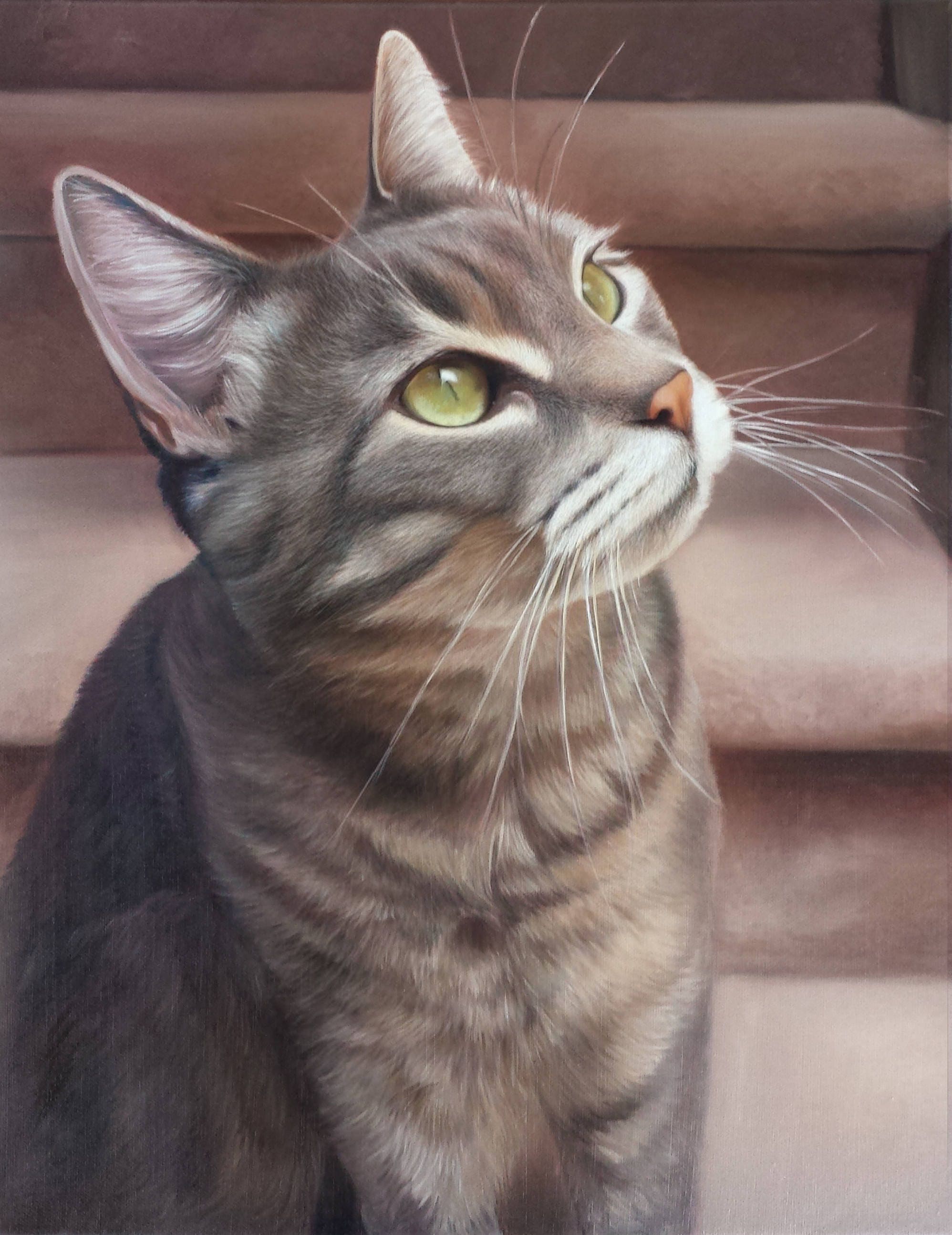 CAT PORTRAIT Oil Painting Pet Portrait Cat Painting Tabby Cat Art   Il Fullxfull.1430800446 7n2g 