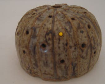 Wheel Thrown Pottery Sea Urchin Votive