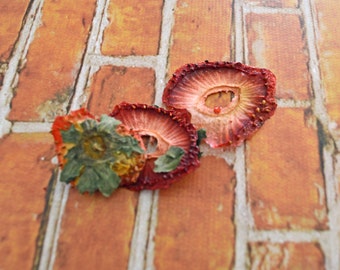 Strawberries - Hermit Crab Food - Organic - Hermit Crab - Pet Food