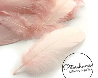 Loose Goose Nagorie Feathers for Millinery and Hat Trimming - Light Pink
